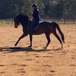 Deborah Pomeroy - @pomeroy358 - Instagram