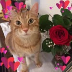 Deborah Pomeroy - @pomeroy.deborah - Instagram