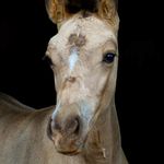 Deborah Pomeroy - @enter_in - Instagram