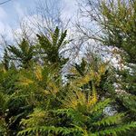Debra Poole - @casdebra - Instagram