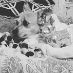 Debra Poole - @_savage_chewy_ - Instagram