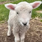 Debra Poole - @debbiepoole9 - Instagram