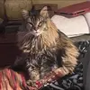 Debbie Posey - @debbie.posey - TikTok