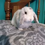 Debra Posey - @debra.posey.50 - Instagram