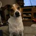 Debra Power - Facebook