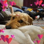 Debra Prater-Vanantwerp - @dpratervanantwerp - Instagram