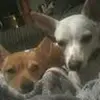 debraprater635 - @debraprater635 - TikTok