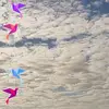 debraprescott860 - @debraprescott860 - TikTok