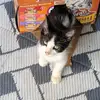 debraprimavera870 - @debraprimavera870 - TikTok