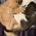 Debbie Brockman - Facebook