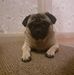 Debbie Proctor - Facebook