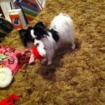 Debra McLaughlin Proctor - @mclaughlinproctor - Instagram
