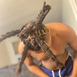 SlattLife - @debrapullen50 - Instagram