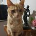Deborah Purchase - Facebook