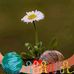 Debra Putman - Facebook