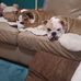 Debbie Pye - Facebook
