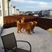 Deborah Pye - Facebook