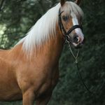 Debra Pendlebury Yeomans - @debra.p.yeomans - Instagram