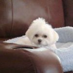 Debra Pyers - @debrapyers - Instagram