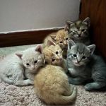 Debra Quick - @quickcreation113 - Instagram