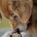 Debra Quick - Facebook