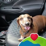 Debra Quick - @debraquick2 - Instagram