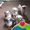 Deborah Quiles - @deborah.quiles - TikTok