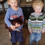 Debra Quinton - @debra_quinton0087 - Instagram