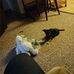 Debra Radabaugh - Facebook