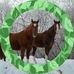 Debra Rae - Facebook