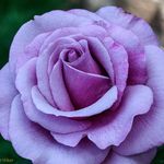 Deborah Ragland Brewer - @dsrt125 - Instagram