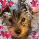 Debra Byerly Hoover Rainbolt - @debrarainbolt - Instagram