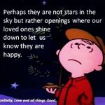 Debra Raines - @raines8996 - Instagram