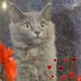 Debra Raines - Facebook