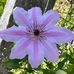Debbie Kelly Ramey - Facebook