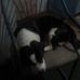 Debra Ramey - Facebook