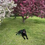 Debra Draper - @debra.draper.370 - Instagram