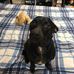 Debbie Raska - Facebook