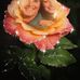 Debbie Rasnake - Facebook