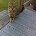 Debra Rauch - Facebook