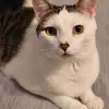 Debbie Rawlings - @debbie.rawlings1 - TikTok