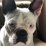 Debra Rawlings - @debra_rawlings - Instagram