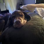 Deborah Rawson - @debdeb722 - Instagram