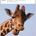Debra Rawson - Facebook