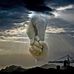 Deborah Rayburn - Facebook