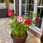 Debra A Rayburn - @debraarayburn - Instagram