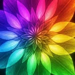 Deb Lynn Raymer - @deblynn1960 - Instagram
