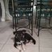 Deborah Raynor - Facebook