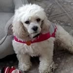 Debra Read - @debra.read.9 - Instagram