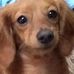 Debra Ream - Facebook